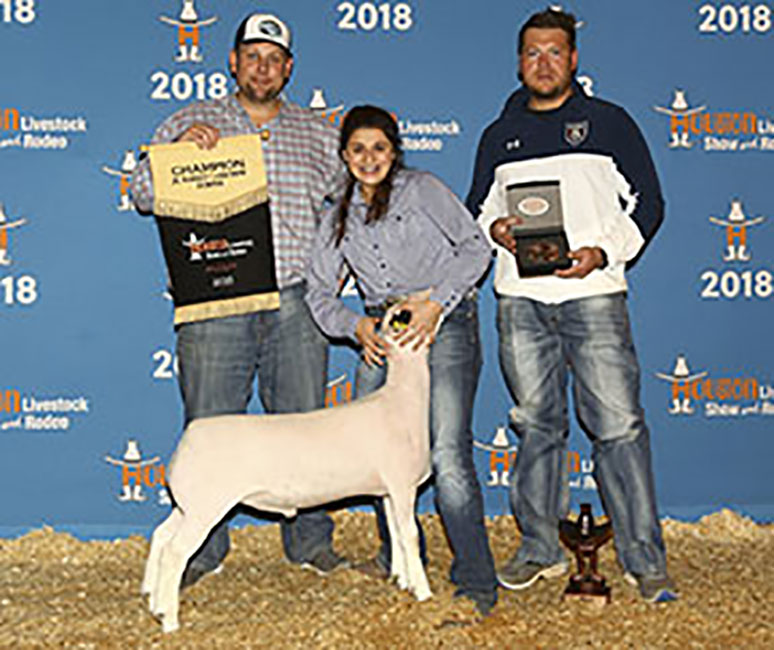 Champion Dorper Wether 2018 Houston Livestock Show Congratulations Sydney Thedford