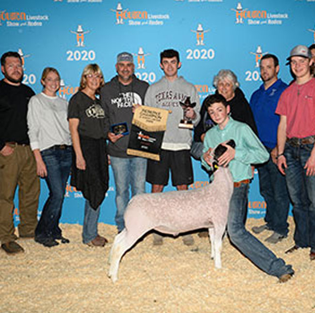 Reserve Champion Dorper 2020 Houston Livestock Show Congratulations Evan Sylvester