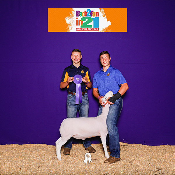 Reserve Champion Dorper 2021 Houston Livestock Show  Congratulations Peyton Hanley!