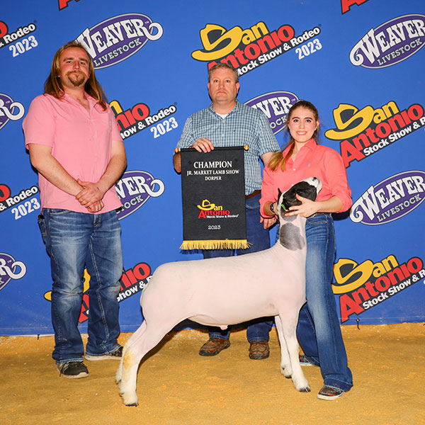 Champion Dorper<br />
San Antonio Livestock Show
